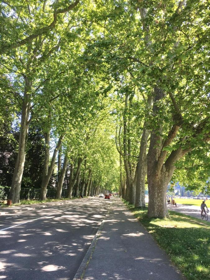 Annecy Center 2 Steps From The Lake Cozy And Renovated! Exterior foto